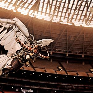 Foto El volar es para los pájaros