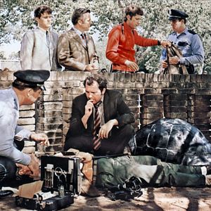 Foto El volar es para los pájaros