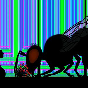 Foto Les Contes de la nuit