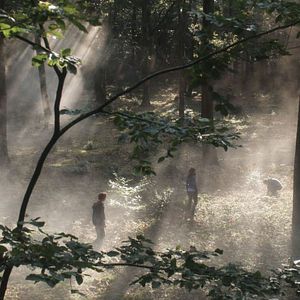 Foto Was du nicht siehst