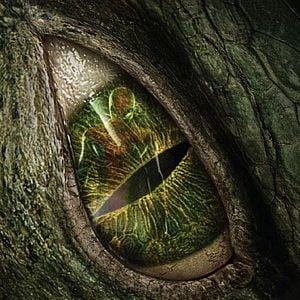 Foto The Amazing Spider-Man