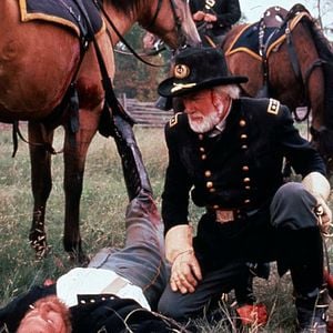 Foto Bailando con lobos