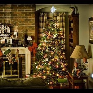 Foto La saga Crepúsculo: Amanecer - Parte 1