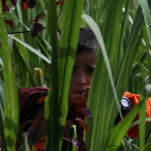 Foto Los colores de la montaña