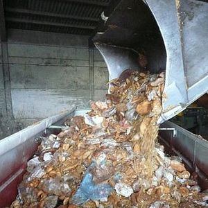 Foto Taste the Waste