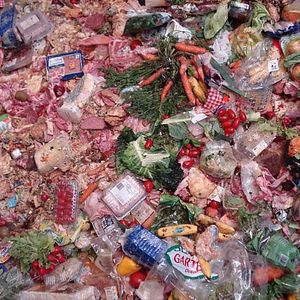 Foto Taste the Waste