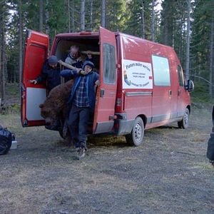 Foto Proyecto: Troll Hunter