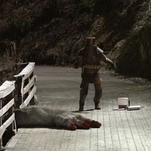 Foto Proyecto: Troll Hunter