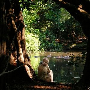 Foto El viaje de Jane