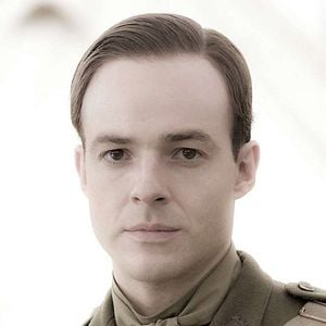 Foto War Horse (Caballo de batalla)