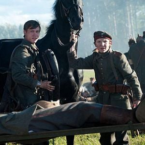 Foto War Horse (Caballo de batalla)