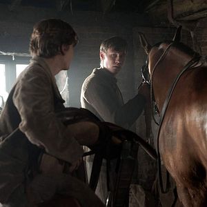 Foto War Horse (Caballo de batalla)