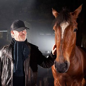 Foto War Horse (Caballo de batalla)