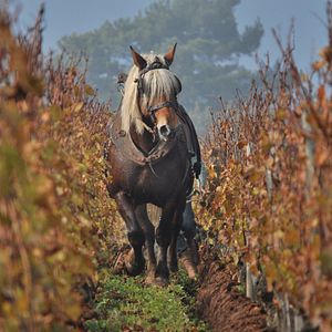 Foto La Clef des Terroirs