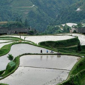 Foto Si près du Soleil