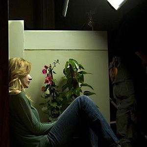 Foto Maschi contro femmine