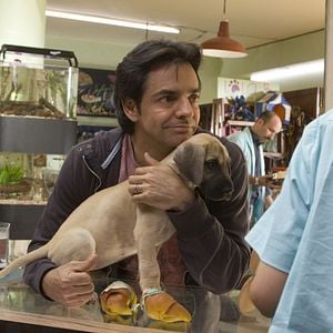 Foto No eres tú, soy yo