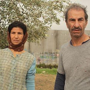 Foto Un cerdo en Gaza