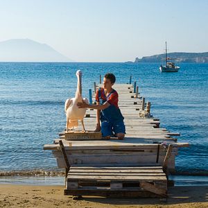 Foto Olivier Horlait