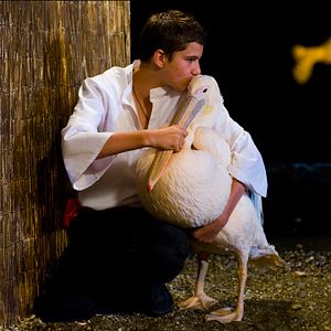 Foto Olivier Horlait