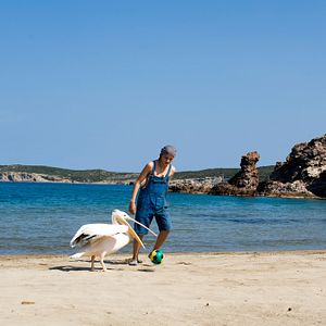 Foto Olivier Horlait