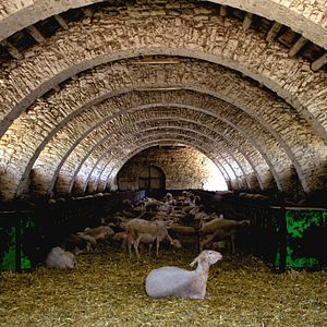 Foto Todos en Larzac