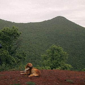 Foto La Conduite de la raison