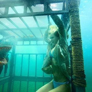 Foto Tiburón 3D. La presa