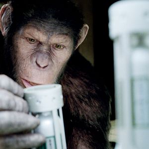 Foto El origen del planeta de los simios