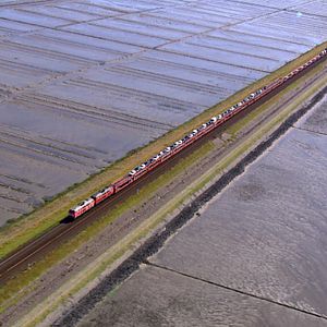 Foto Die Nordsee von oben
