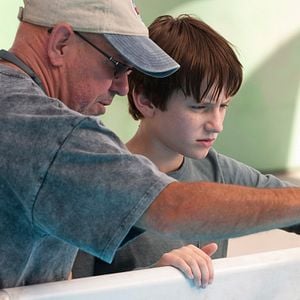 Foto La gran aventura de Winter el delfín