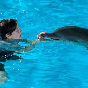 Foto La gran aventura de Winter el delfín