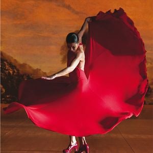 Foto Flamenco, Flamenco