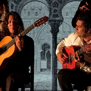 Foto Flamenco, Flamenco