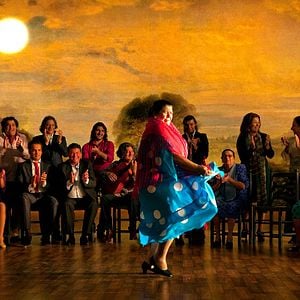 Foto Flamenco, Flamenco