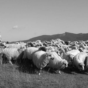 Foto Dem Himmel ganz nah