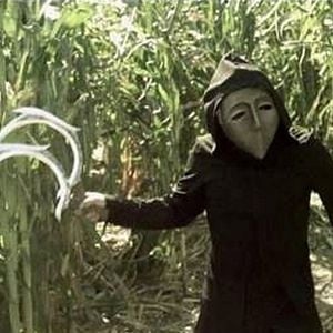 Foto Fading of the Cries