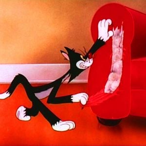 Foto Tex Avery Cartoons n°2