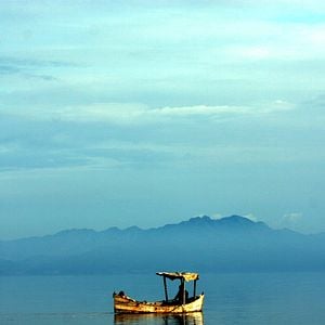 Foto The White Meadows