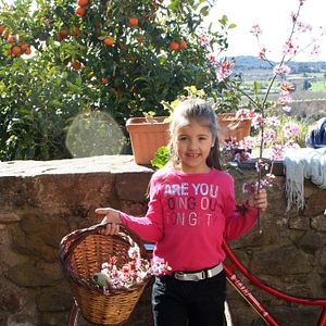 Foto Passi el que passi