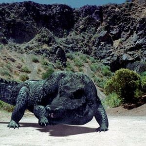 Foto Mega Python vs. Gatoroid