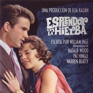 Foto Esplendor en la hierba