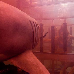 Foto Tiburón 3D. La presa