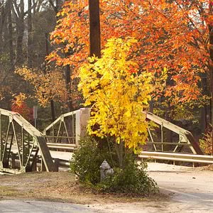 Foto La extraña vida de Timothy Green