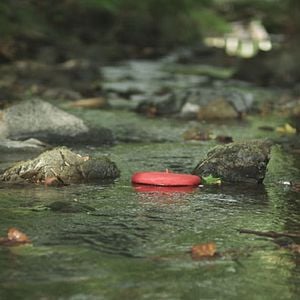 Foto Arriya (La Piedra)