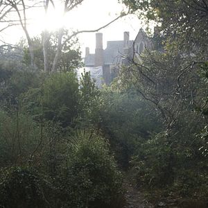 Foto No tengas miedo a la oscuridad