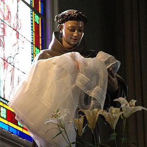 Foto Agnus Dei: Cordero de Dios