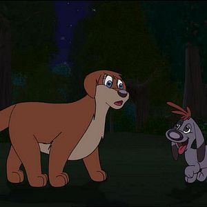 Foto Scruff. El sueño de una noche de verano