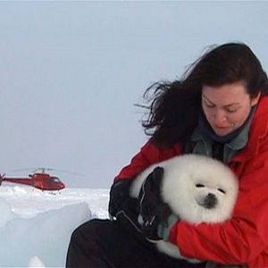 Foto Confessions of an Eco-Terrorist