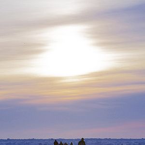 Foto Andrew Okpeaha MacLean